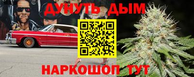 шишки Камышлов