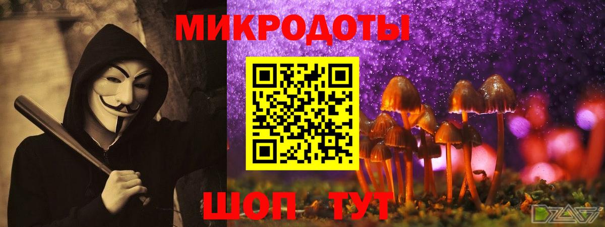 Галлюциногенные грибы Psilocybe  Вход с VPN  Касимов  Галлюциногенные грибы Psilocybine cubensis 